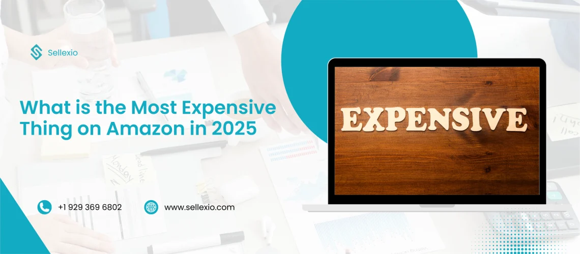 what is the most expensive thing on amazon in 2025